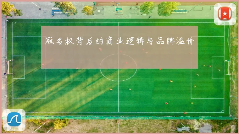 冠名权背后的商业逻辑与品牌溢价