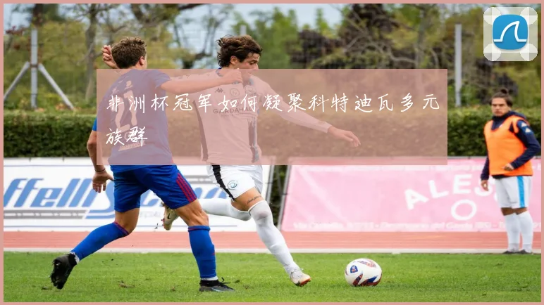 非洲杯冠军如何凝聚科特迪瓦多元族群
